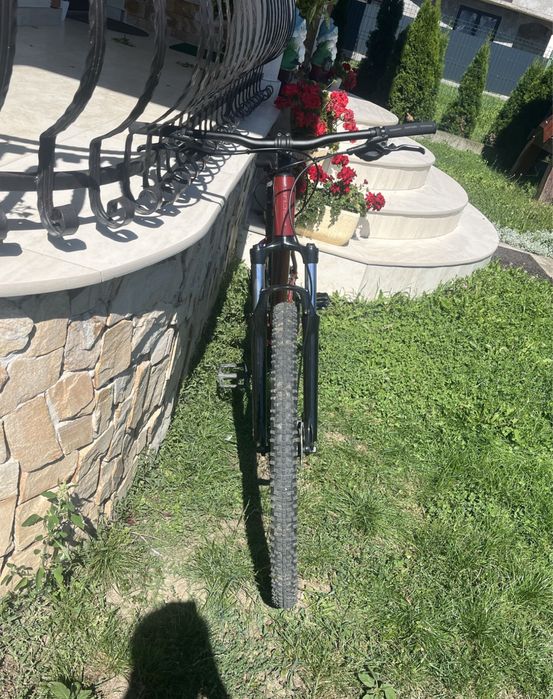 Vand bicicleta focus vintler 3.7