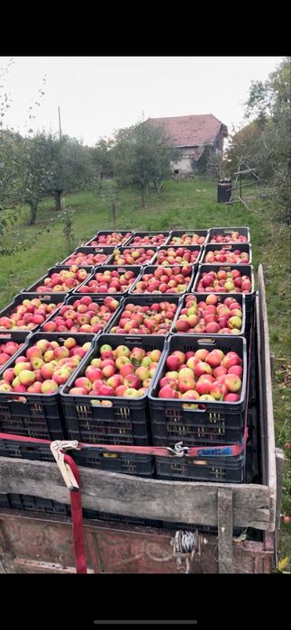 Vand diferite soiuri de mere!