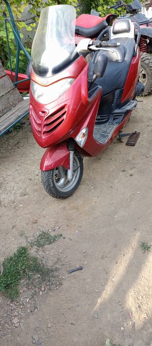kymco grand dink 50