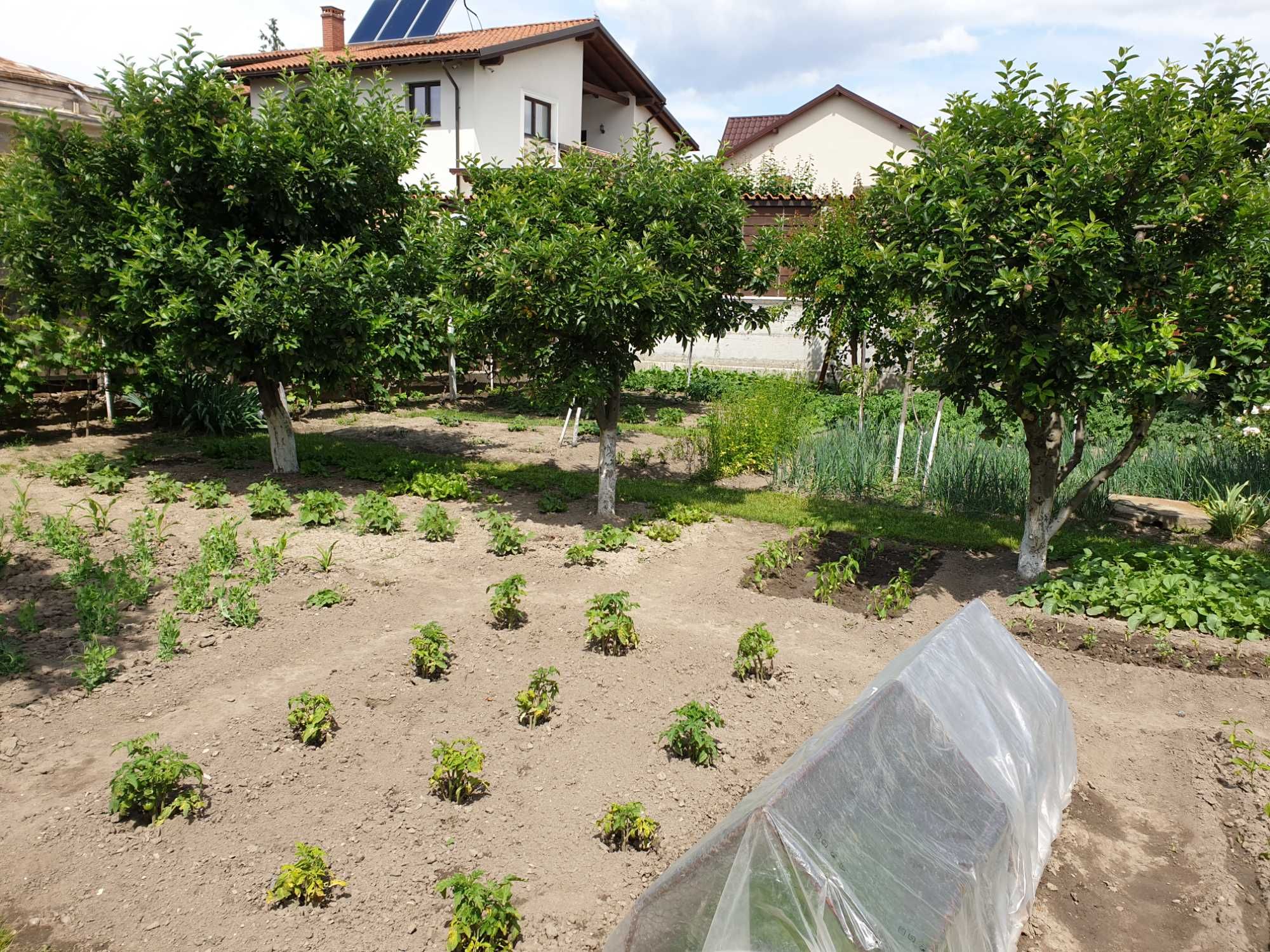 Proprietate unică în Focșani – Casă boierească de vânzare!