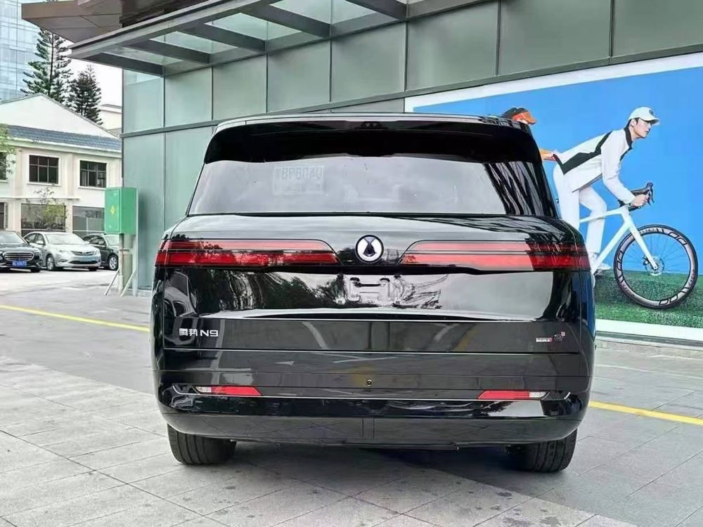 Denza N9 Flagship Фулл позиция сотвуда