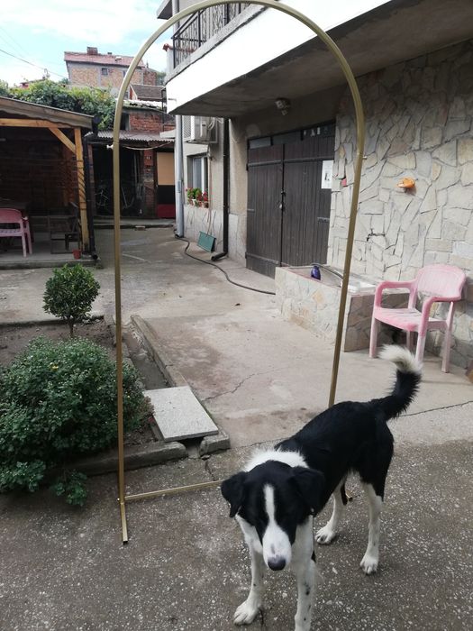 Метална арка за вашето вълшебно събитие изработена от профил 20 на 20