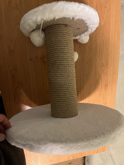 Котешка драскалка