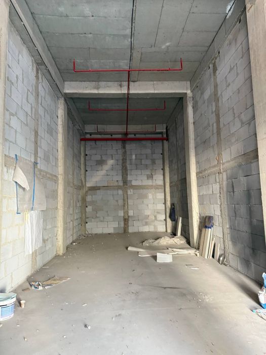 Первая Линия Срочная Продажа *Альфраганус*