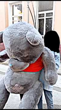Kulrang teddy ayiq
