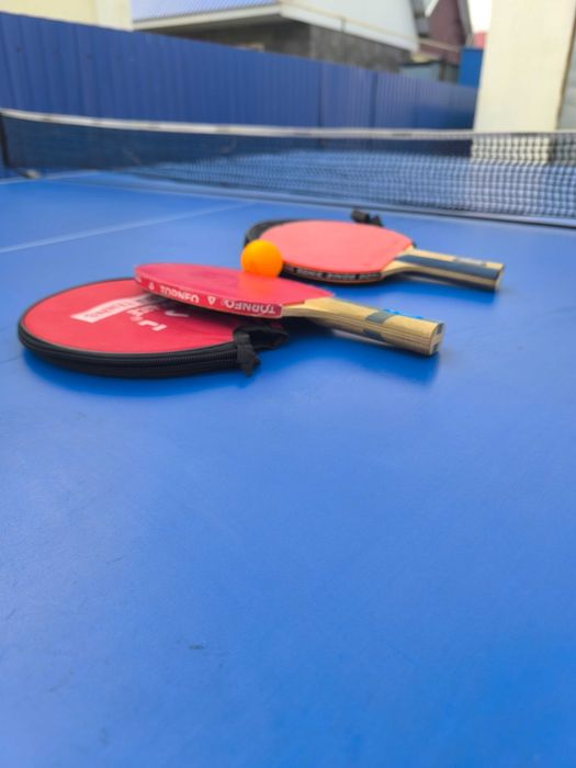 Теннисный стол в комплекте