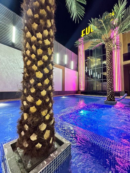 Дача Чарвак Бочка Dacha Charvoq