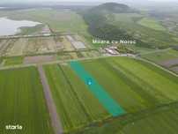 Teren extravilan de 22500mp Zona Ineu