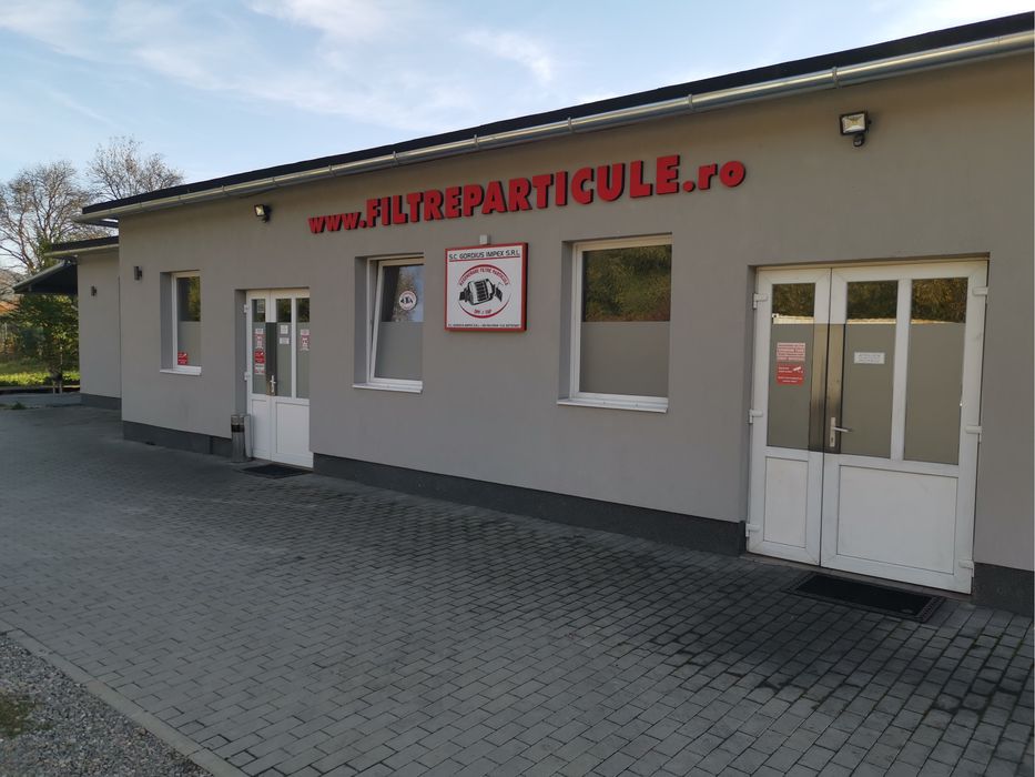 Filtru de Particule Mitsubishi ASX Euro 5