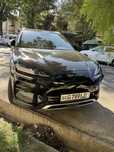 Byd champion 605km full