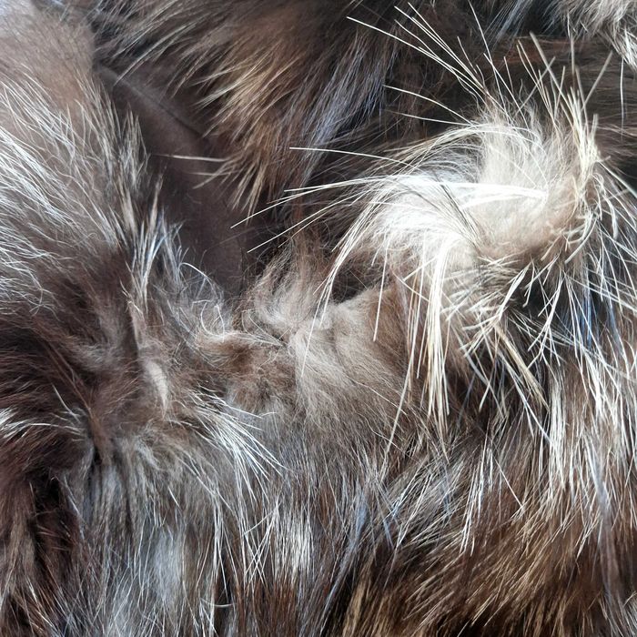 Елек от лисица р-р S-M