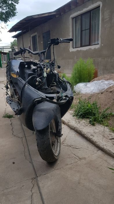 Продам мопед принц срочно