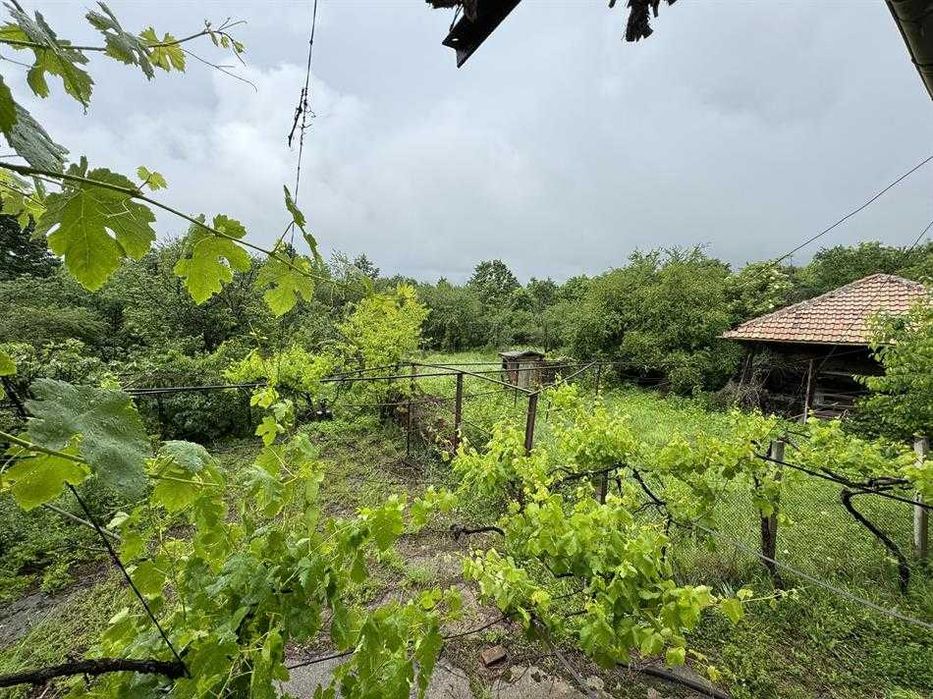 15201-Къща Думници