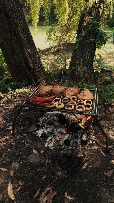 Gratar pliabil camping, bushcraft, 30x20cm