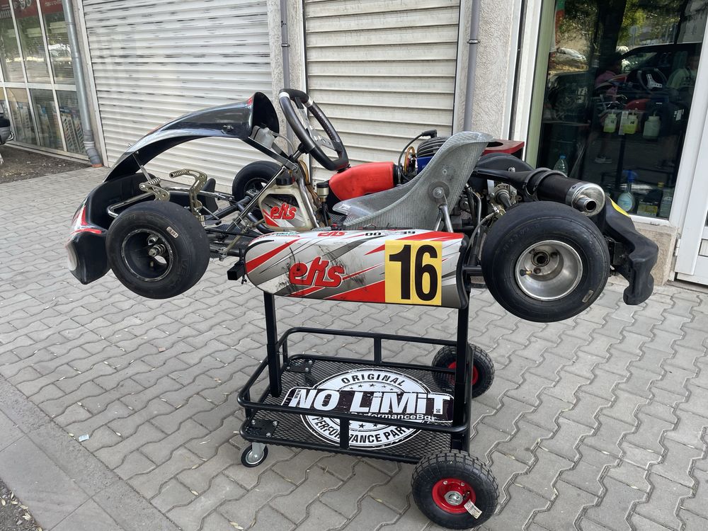 Картинг Тм 60cc мини