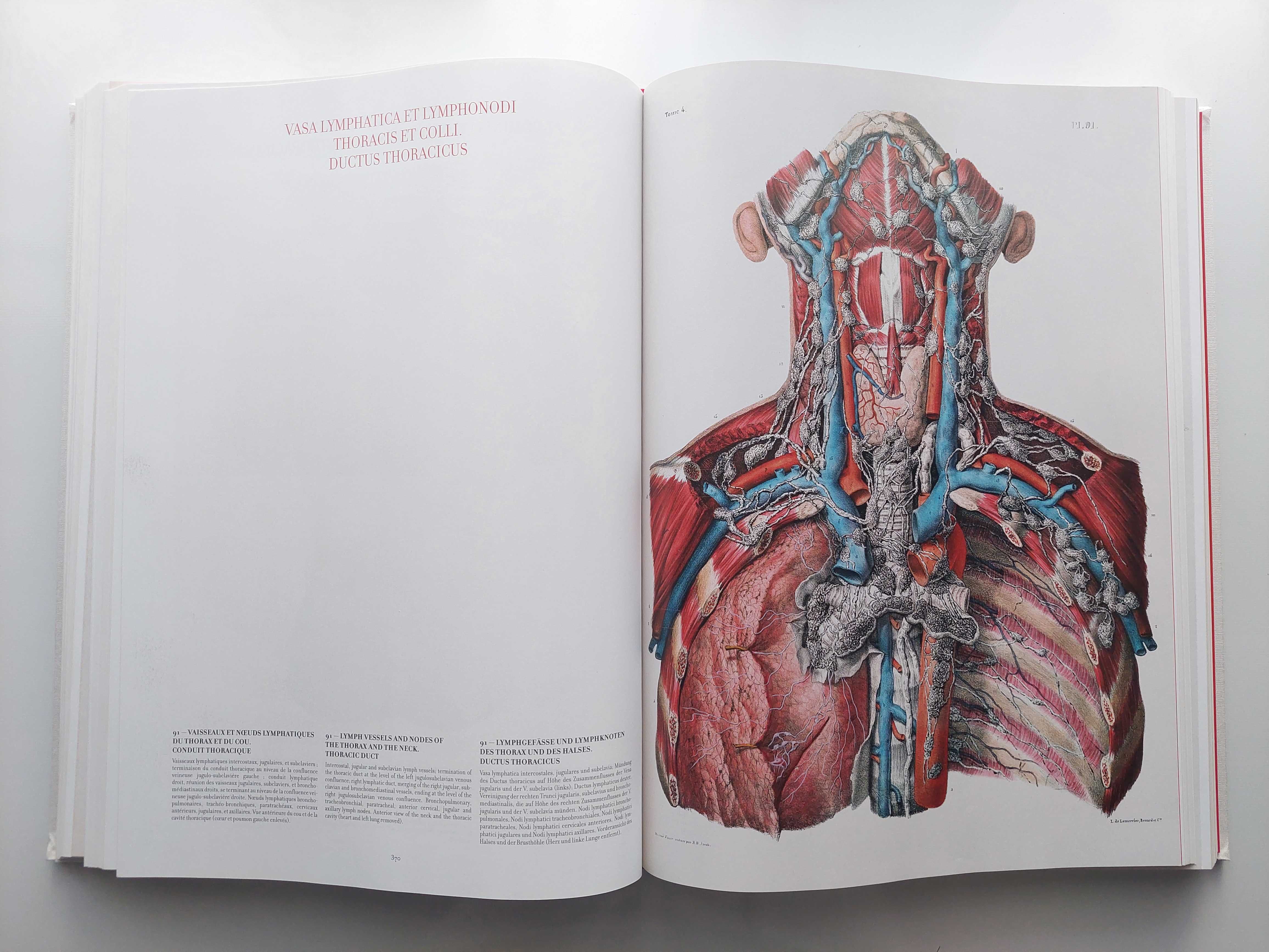 Bourgery. Atlas de anatomie și chirurgie umană