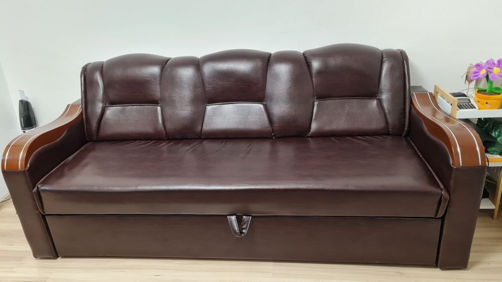 Canapea extensibila living