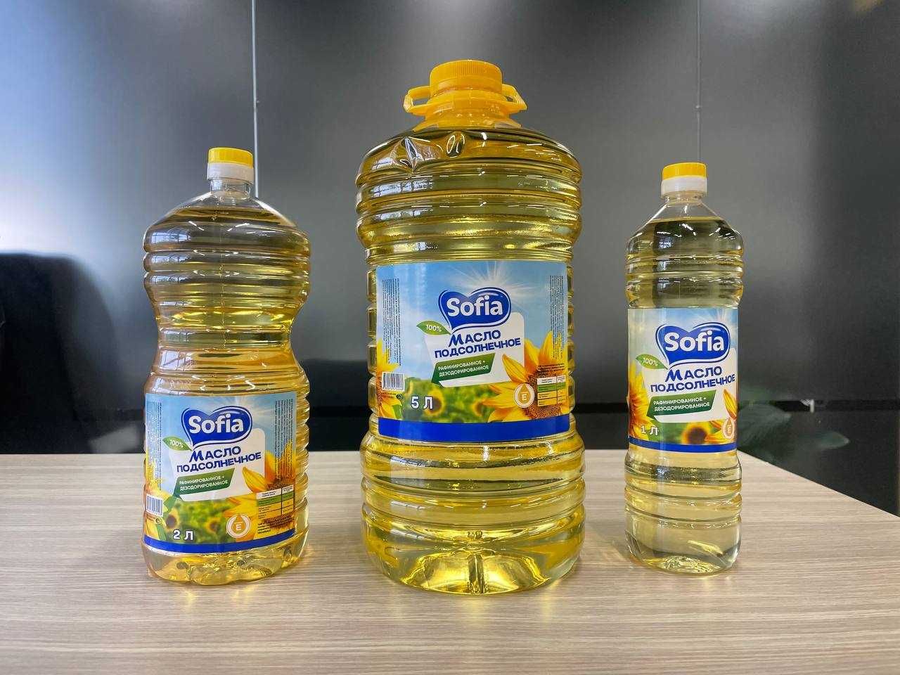 Sofia pista yogi
