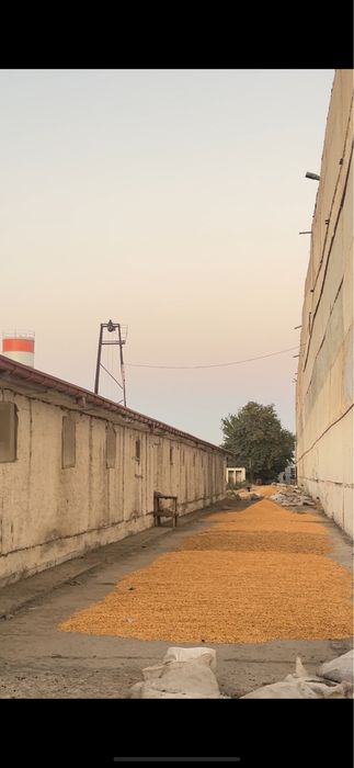 Ишлаб чикариш корхонаси сотилади!