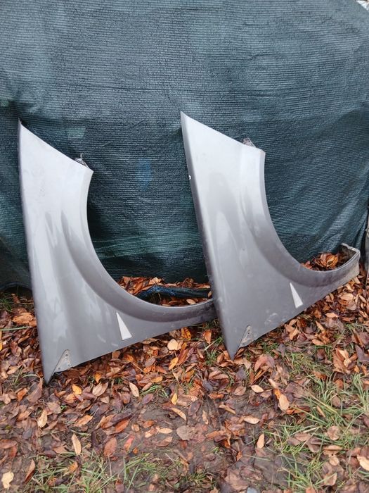 Aripi  Megan 2, dreapta și capotă