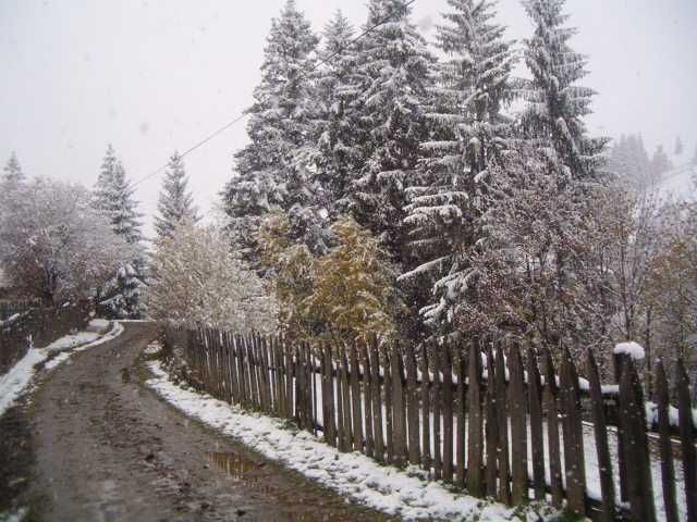 Revelion 2026 si Craciun 2025 in Bucovina