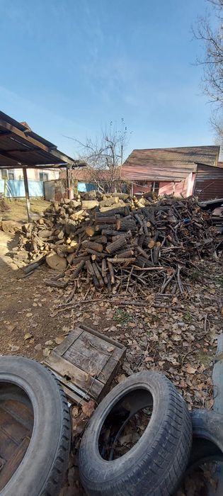 Продам дрова ( отын сатам  )