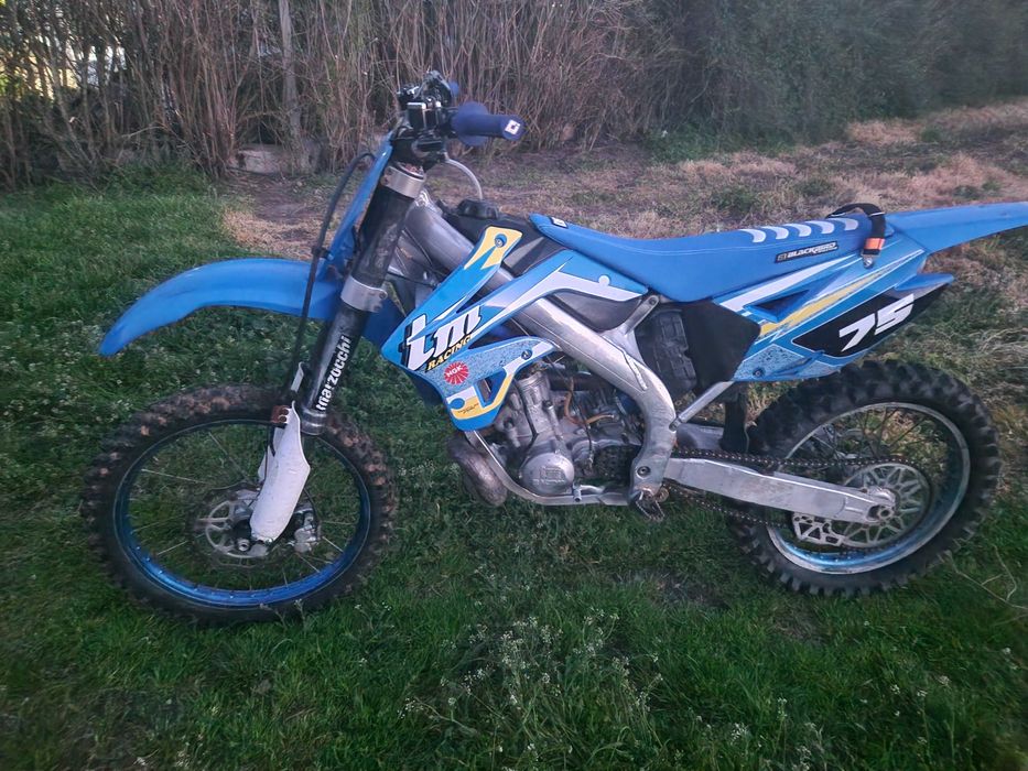 2008 TM En 250 F