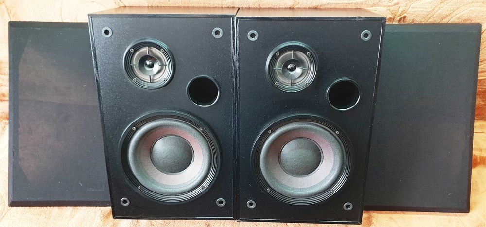 Bose Interaudio 3000XL