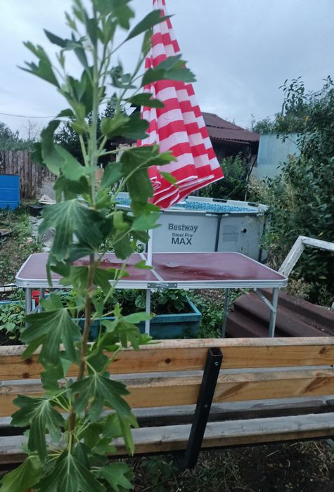 Дом 2 эт. 54 квм с нов. паровой отопит.системой,5 сот, баня, скваж,бас