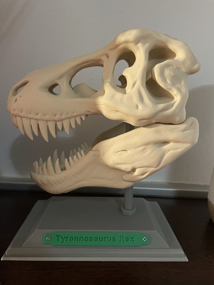 Декорация Череп T-Rex
