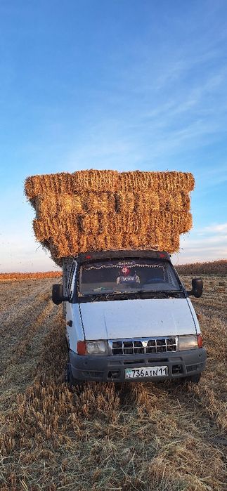 Сабан прес бар жеткізіп береміз