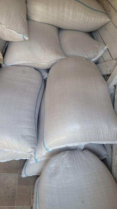 Vând grâu anul 2025