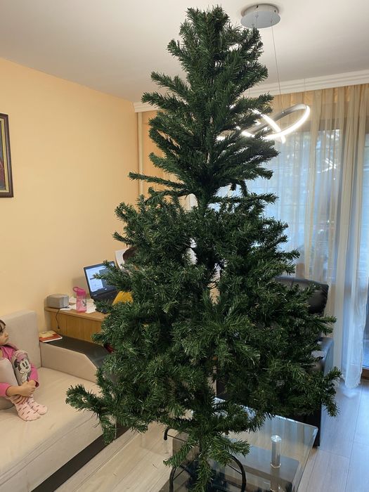 Коледна елха в много добро състояние