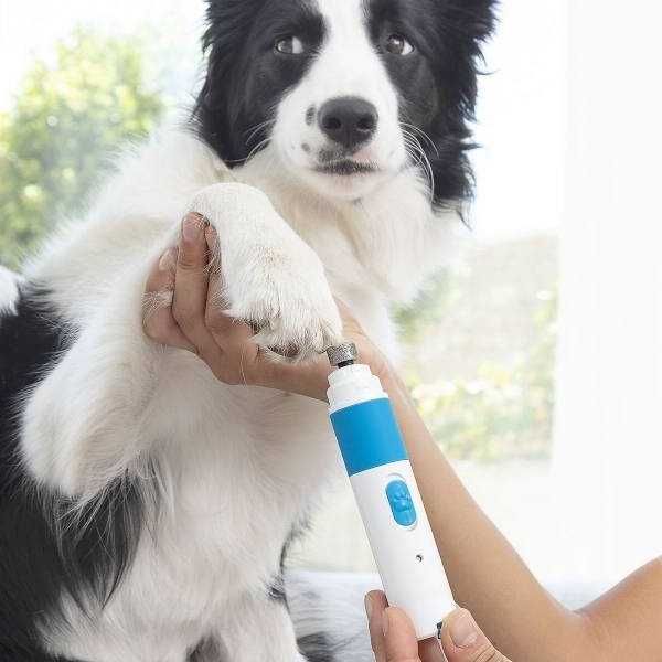 Pila electrica pentru caini si pisici, 2 viteze, zgomot redus, USB