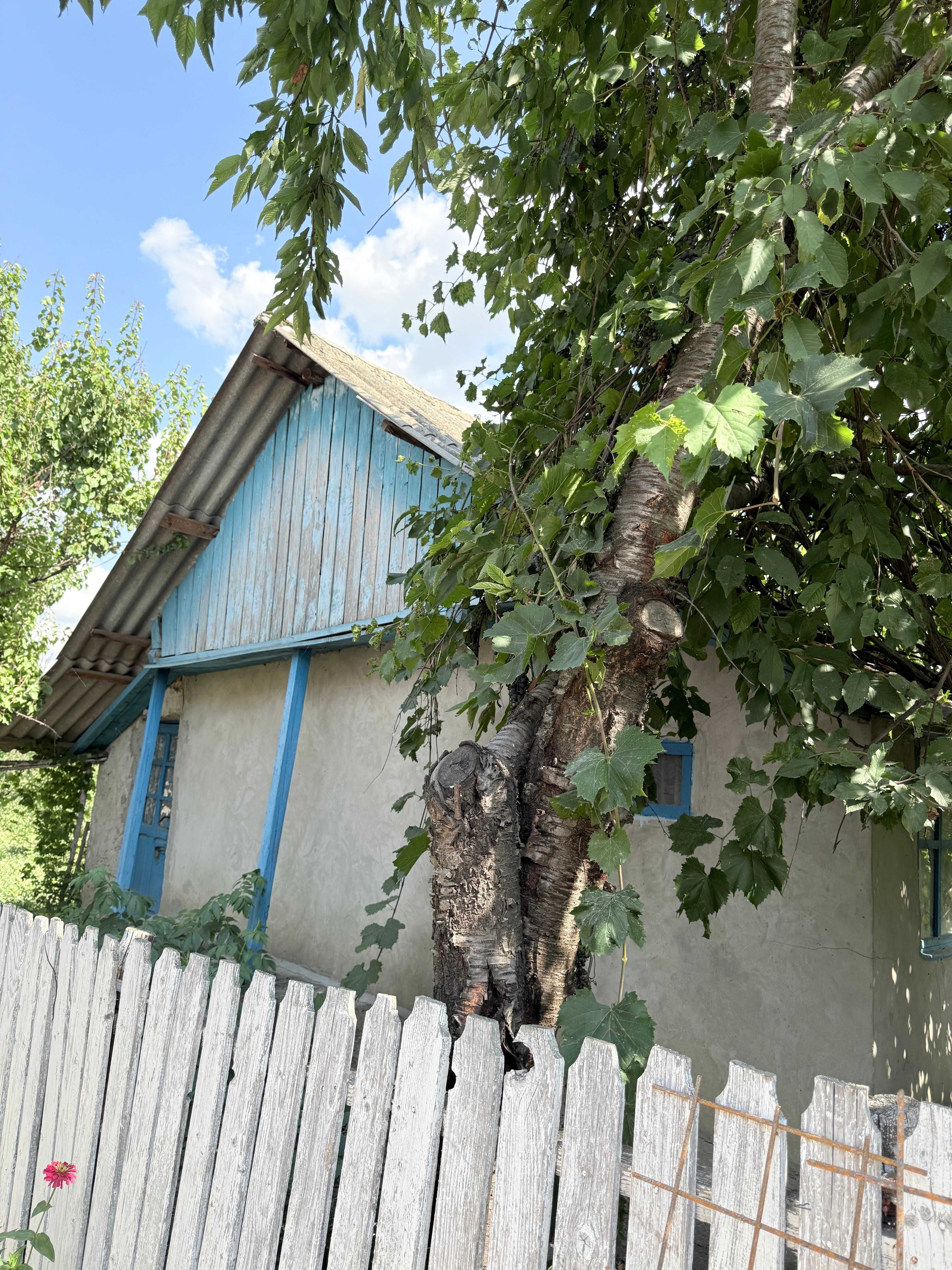 Casă + Teren, sat Bălteni, comuna Probota, jud. Iași