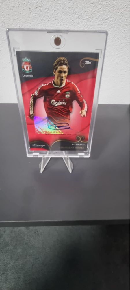 Cartonas Auto Fernando Torres 1/5