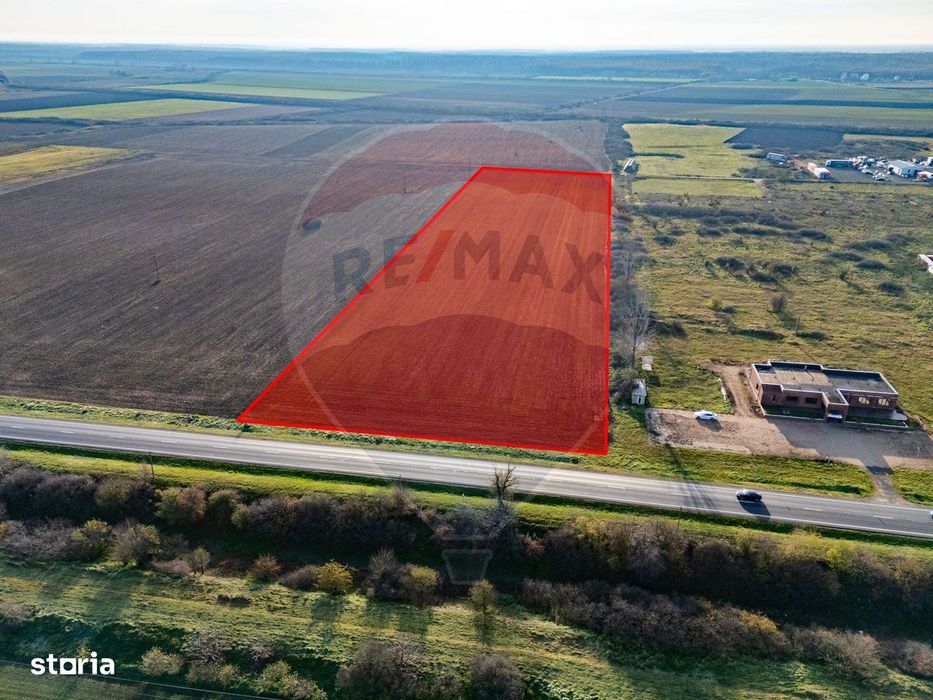Teren 29220 mp Pecica,DN7, langa autostrada- Ideal pentru afaceri