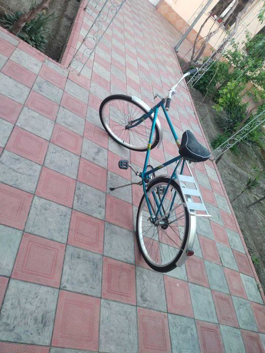 Kattalar velosipedi sotiladi.