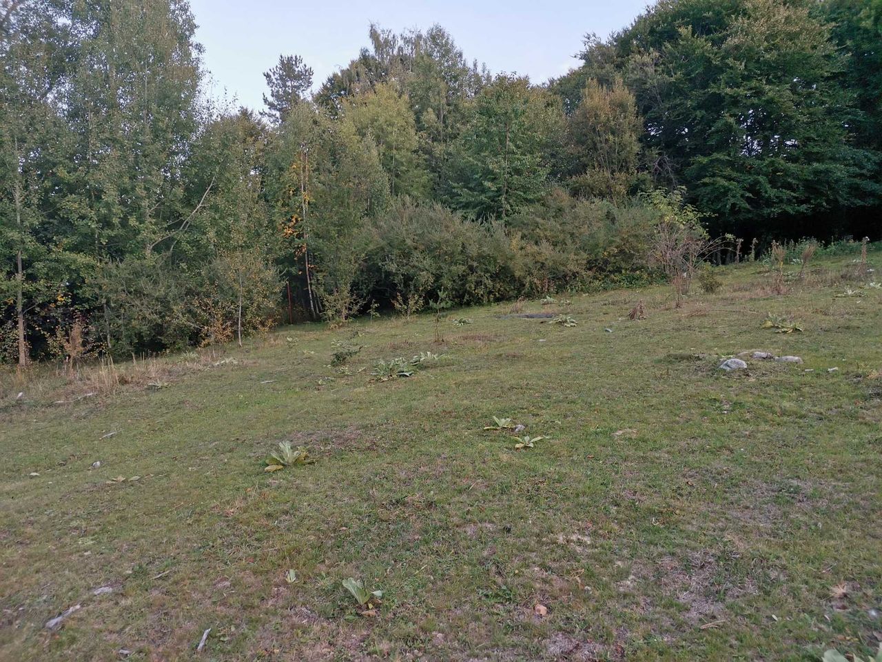 Продава се Парцел в Разлог - 300 кв.м за 30 €/кв.м - Снимка #3