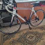 Cursiera carbon ventura