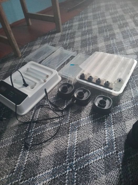 Сотилади  инкубатор