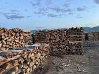 Vând lemn de foc (fag)