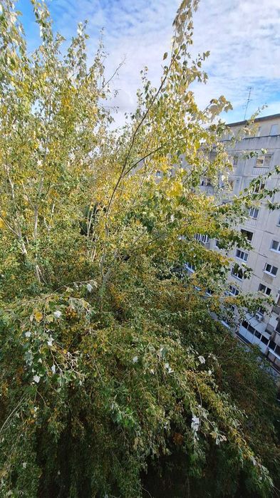 Garsoniera confort 1 sporit de vanzare