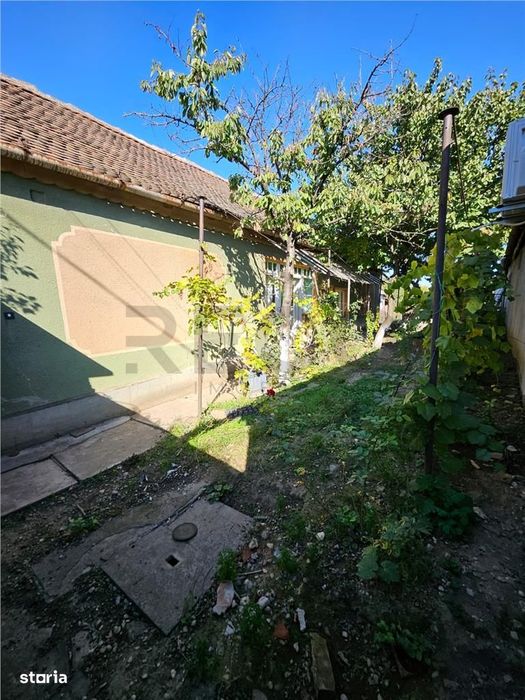 RECO Casa cu 2 camere , anexe gospodaresti si teren in Salonta