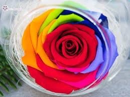 Trandafir criogenat in glob de sticla de 10 cm diametru