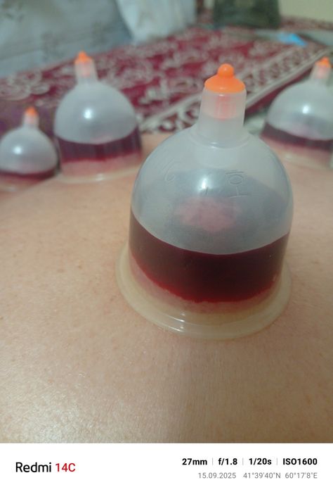 Xamshira xizmati zuluk, xijoma