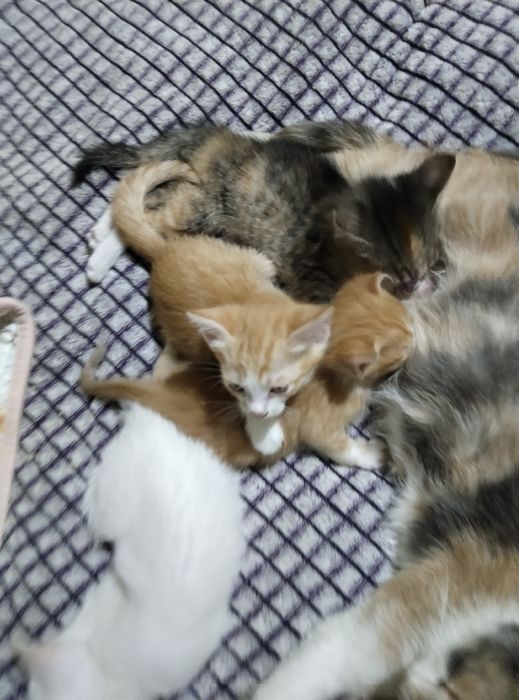 Если вы ищете друзей то Ваши друзья ждут Вас