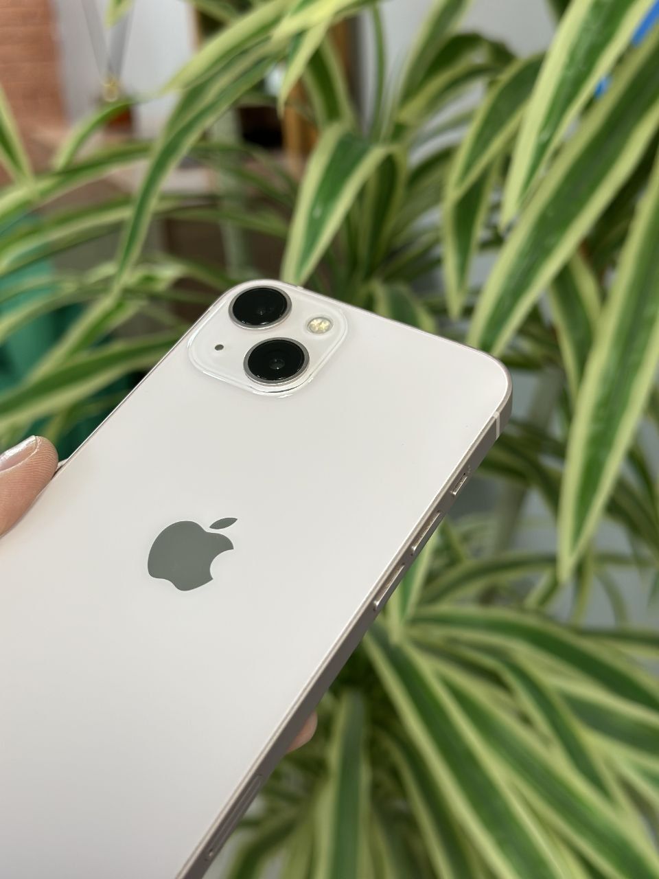 Iphone 13 /128gb