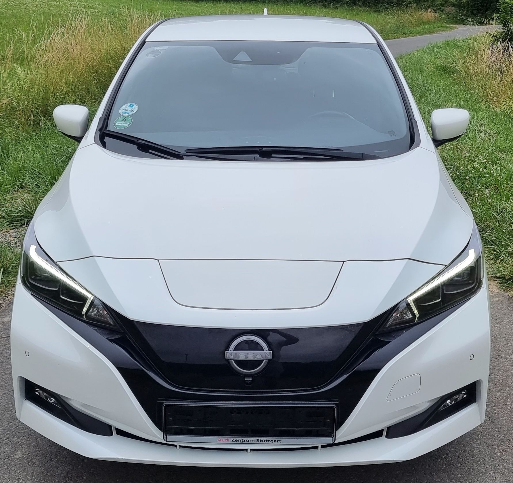 Nissan Leaf Elektro 62kw Kamera 360g
