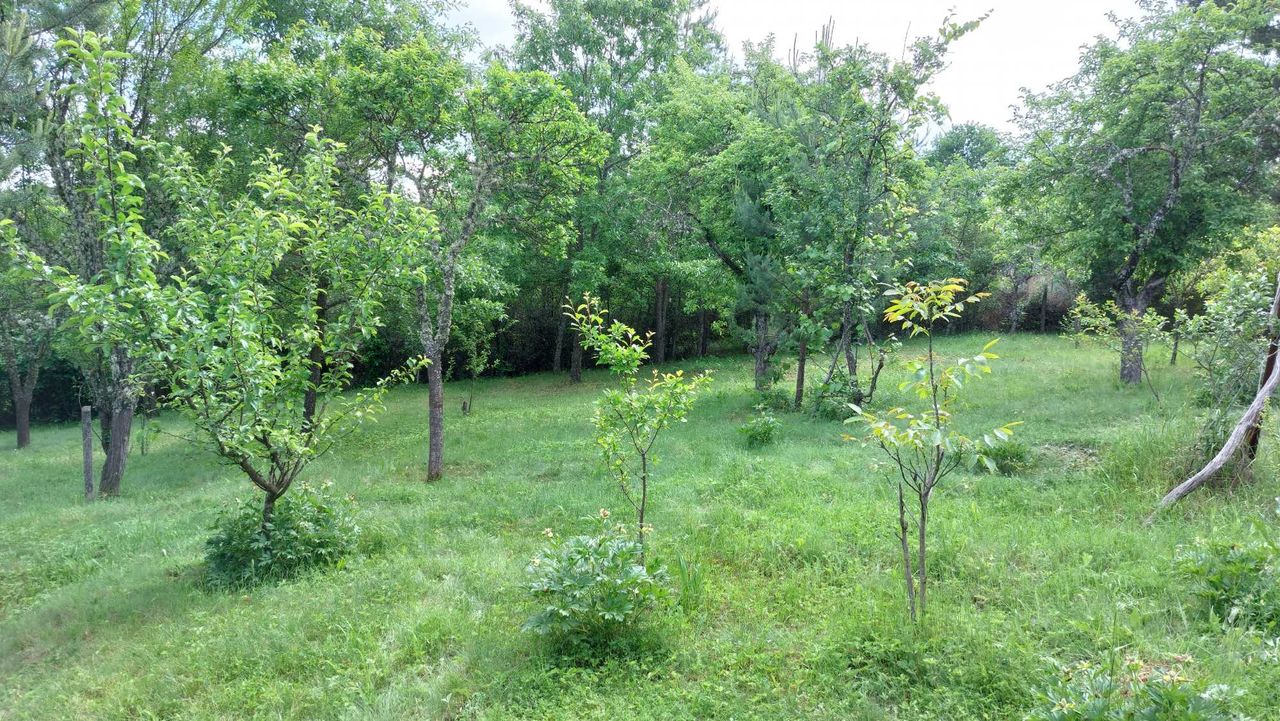 Продава се Къща в с. Егълница, Област Перник - 19 кв.м за 1053 €/кв.м - Снимка #13
